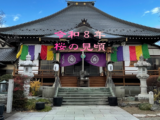 桜の見頃