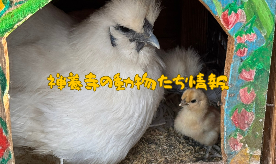 BLOG表題