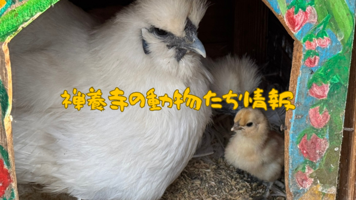 BLOG表題